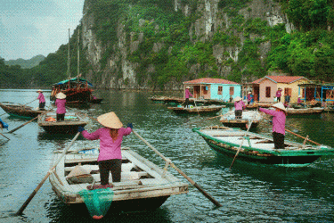 Huong Hai Sealife Cruise