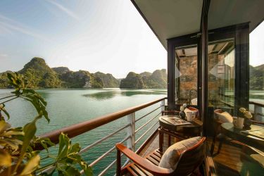 Orchid Trendy Cruise