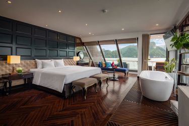 Stellar of the Seas Cruise