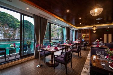 Stellar of the Seas Cruise
