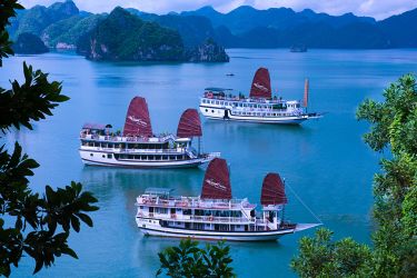 Swan Cruise Bai Tu Long