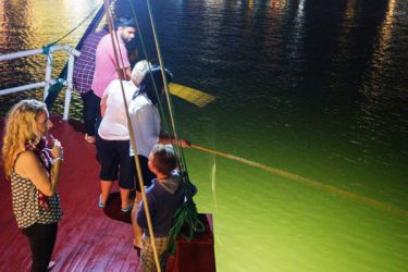 Halong Rosa Cruise