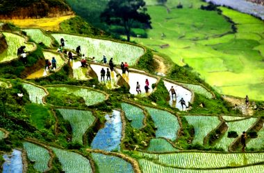 Na Hoi Village