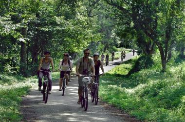Cuc Phuong National Park one day tour