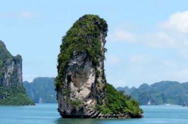 Finger islet