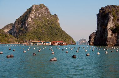 Tung Sau Area
