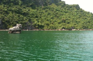 Duck islet