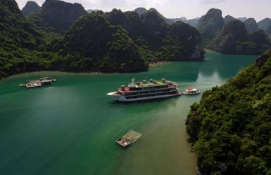Dora Cruise