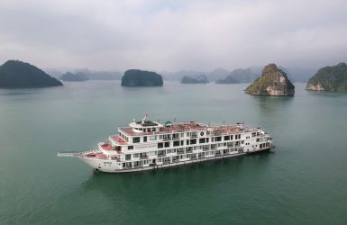  Ambassador Cruise (President Cruise)