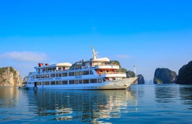 Royal Wings Cruise