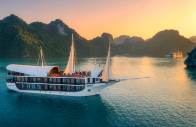 Sena cruise