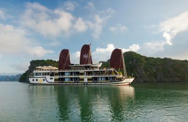 Orchid Cruise Classic