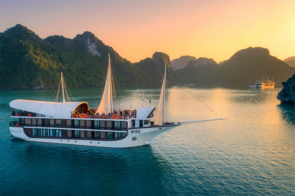 Sena cruise