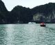 Bamboo boat