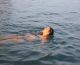 Swimming