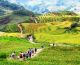 Muong hoa valley