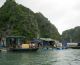 Ba Hang floating village