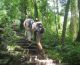 Trekking through jungle
