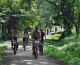 Biking through jungle