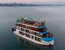 Cycad Cruise