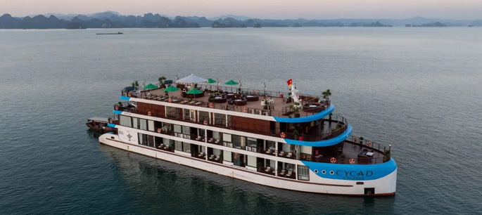 Cycad Cruise