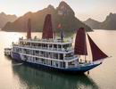 Verdure Lotus Cruise